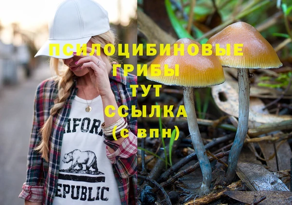 дживик Каменка