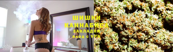 хмурый Касимов