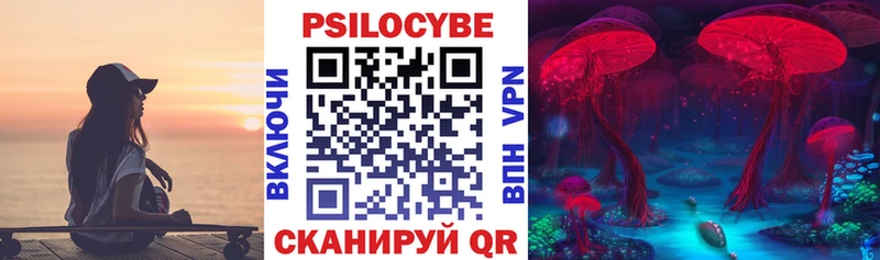 Псилоцибиновые грибы Cubensis  наркота  Троицк 